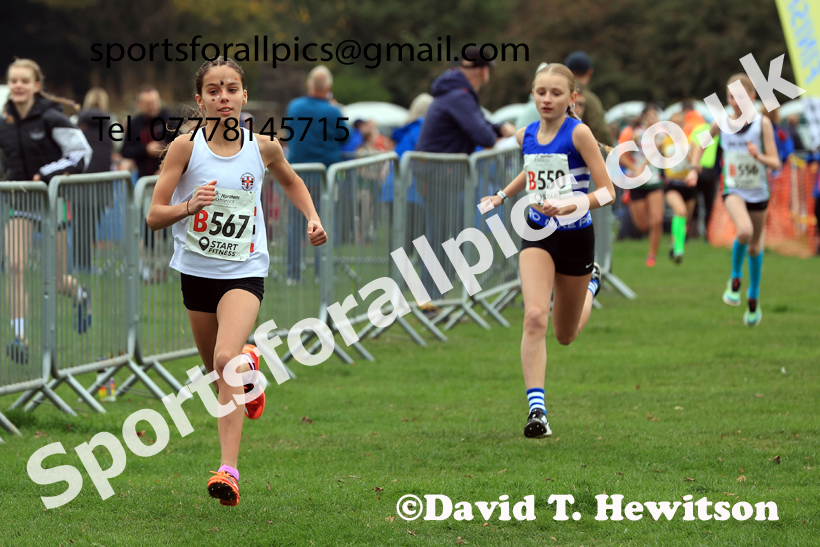 Girls Under-13s relay, 2025 Northern Cross Country Relays, Graves Park, Sheffield. Photo: David T. Hewitson/Sports for All Pics